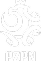 PZPN